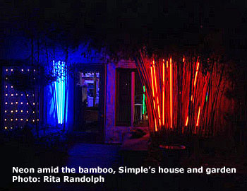 neon and bamboo