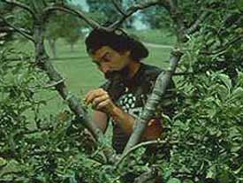 image of simple the roving garden artist