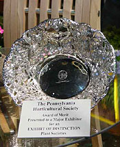 click to see pictures from the Philadelphia Flower Show 2006