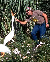 click to visit simple's longwood gardens exhibit