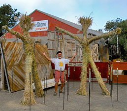 image of simple with grass sculptures