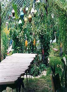 an image